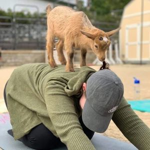 Meet your Posher, Bridget